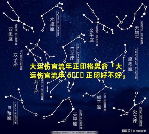 大运伤官流年正印格男命「大运伤官流年 🐎 正印好不好」